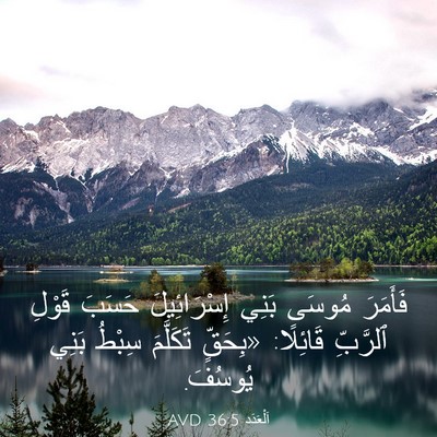Picture 03 - اَلْعَدَد 36:5 AVD - فَأَمَرَ مُوسَى بَنِي - Bible Verse Picture