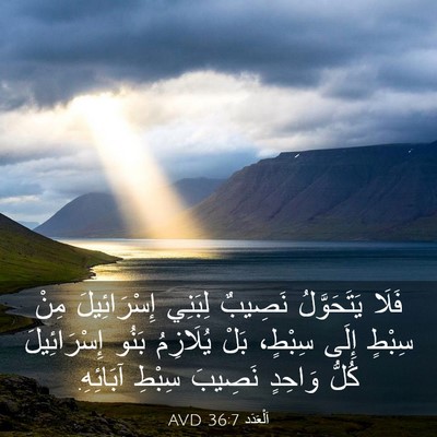 Picture 03 - اَلْعَدَد 36:7 AVD - فَلَا يَتَحَوَّلُ نَصِيبٌ - Bible Verse Picture