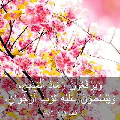 Picture 03 - اَلْعَدَد 4:13 AVD - وَيَرْفَعُونَ رَمَادَ - Bible Verse Picture