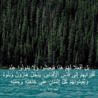 Picture 03 - اَلْعَدَد 4:19 AVD - بَلِ ٱفْعَلَا لَهُمْ هَذَا - Bible Verse Picture
