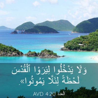 Picture 03 - اَلْعَدَد 4:20 AVD - وَلَا يَدْخُلُوا - Bible Verse Picture