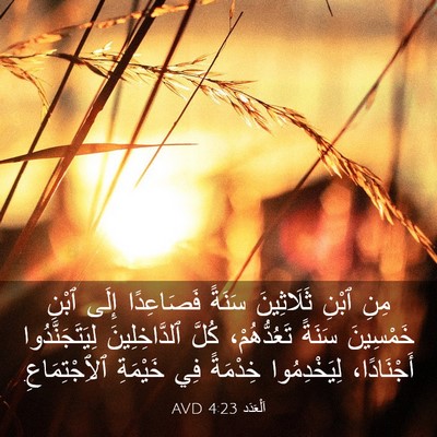 Picture 03 - اَلْعَدَد 4:23 AVD - مِنِ ٱبْنِ ثَلَاثِينَ - Bible Verse Picture