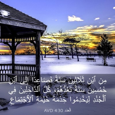 Picture 03 - اَلْعَدَد 4:30 AVD - مِنِ ٱبْنِ ثَلَاثِينَ - Bible Verse Picture