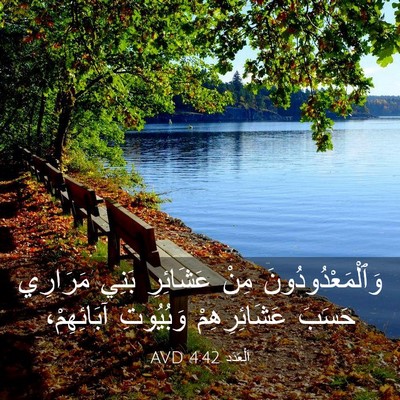 Picture 03 - اَلْعَدَد 4:42 AVD - وَٱلْمَعْدُودُونَ مِنْ - Bible Verse Picture