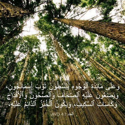 Picture 03 - اَلْعَدَد 4:7 AVD - وَعَلَى مَائِدَةِ - Bible Verse Picture