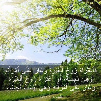 Picture 03 - اَلْعَدَد 5:14 AVD - فَٱعْتَرَاهُ رُوحُ - Bible Verse Picture