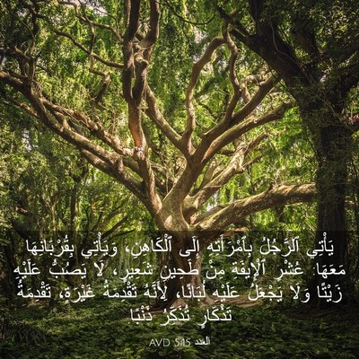 Picture 03 - اَلْعَدَد 5:15 AVD - يَأْتِي ٱلرَّجُلُ - Bible Verse Picture