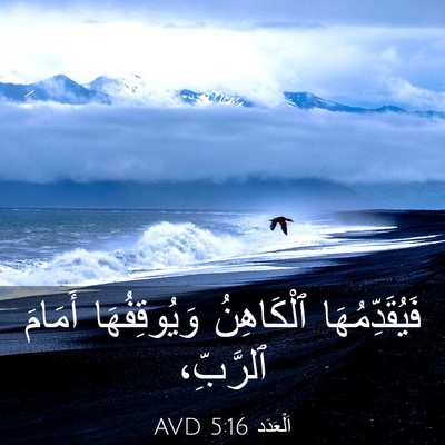 Picture 03 - اَلْعَدَد 5:16 AVD - فَيُقَدِّمُهَا ٱلْكَاهِنُ - Bible Verse Picture