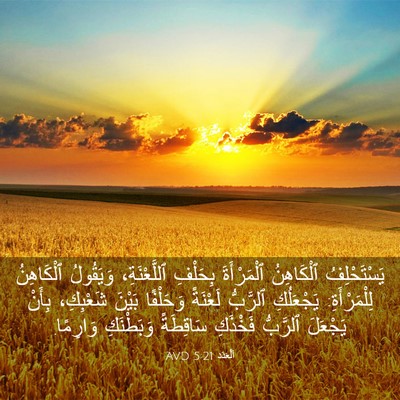 Picture 03 - اَلْعَدَد 5:21 AVD - يَسْتَحْلِفُ ٱلْكَاهِنُ - Bible Verse Picture