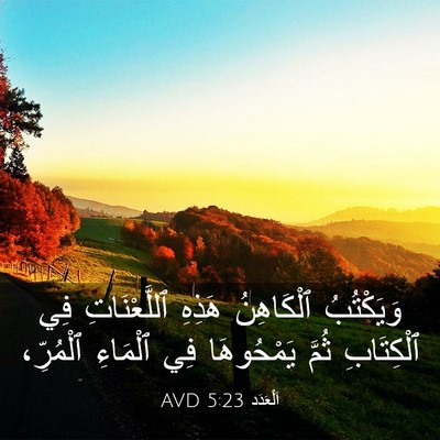 Picture 03 - اَلْعَدَد 5:23 AVD - وَيَكْتُبُ ٱلْكَاهِنُ - Bible Verse Picture