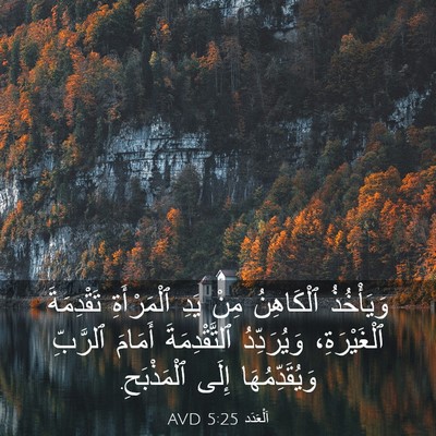 Picture 03 - اَلْعَدَد 5:25 AVD - وَيَأْخُذُ ٱلْكَاهِنُ - Bible Verse Picture
