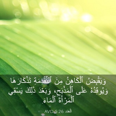 Picture 03 - اَلْعَدَد 5:26 AVD - وَيَقْبِضُ ٱلْكَاهِنُ - Bible Verse Picture