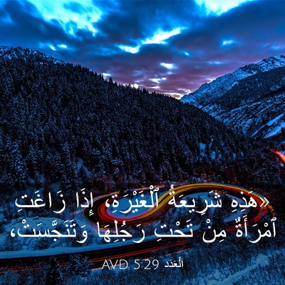 Picture 03 - اَلْعَدَد 5:29 AVD - «هَذِهِ شَرِيعَةُ - Bible Verse Picture