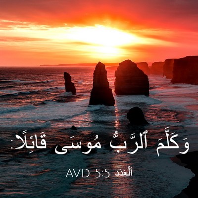 Picture 03 - اَلْعَدَد 5:5 AVD - وَكَلَّمَ ٱلرَّبُّ مُوسَى - Bible Verse Picture