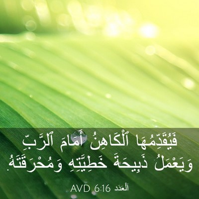 Picture 03 - اَلْعَدَد 6:16 AVD - فَيُقَدِّمُهَا ٱلْكَاهِنُ - Bible Verse Picture