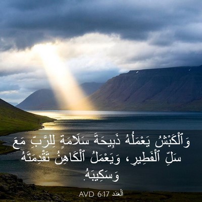 Picture 03 - اَلْعَدَد 6:17 AVD - وَٱلْكَبْشُ يَعْمَلُهُ - Bible Verse Picture