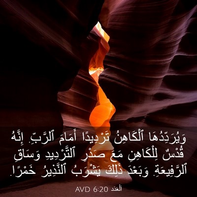 Picture 03 - اَلْعَدَد 6:20 AVD - وَيُرَدِّدُهَا ٱلْكَاهِنُ - Bible Verse Picture