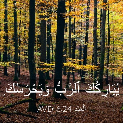 Picture 03 - اَلْعَدَد 6:24 AVD - يُبَارِكُكَ ٱلرَّبُّ - Bible Verse Picture