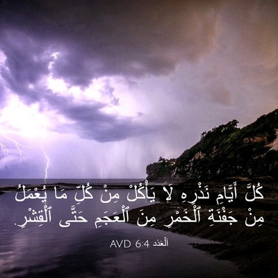 Picture 03 - اَلْعَدَد 6:4 AVD - كُلَّ أَيَّامِ نَذْرِهِ - Bible Verse Picture