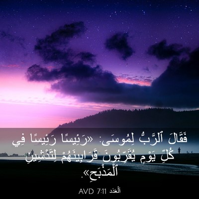 Picture 03 - اَلْعَدَد 7:11 AVD - فَقَالَ ٱلرَّبُّ لِمُوسَى: - Bible Verse Picture