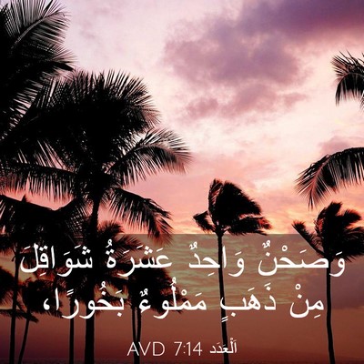 Picture 03 - اَلْعَدَد 7:14 AVD - وَصَحْنٌ وَاحِدٌ عَشَرَةُ - Bible Verse Picture
