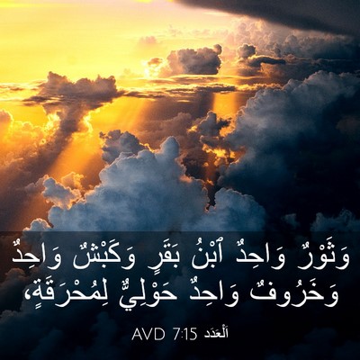 Picture 03 - اَلْعَدَد 7:15 AVD - وَثَوْرٌ وَاحِدٌ ٱبْنُ - Bible Verse Picture