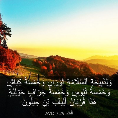 Picture 03 - اَلْعَدَد 7:29 AVD - وَلِذَبِيحَةِ - Bible Verse Picture