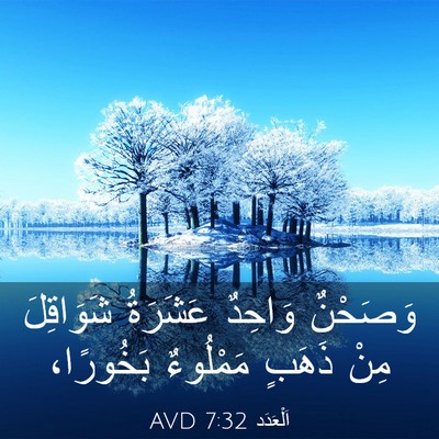 Picture 03 - اَلْعَدَد 7:32 AVD - وَصَحْنٌ وَاحِدٌ عَشَرَةُ - Bible Verse Picture