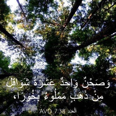 Picture 03 - اَلْعَدَد 7:38 AVD - وَصَحْنٌ وَاحِدٌ عَشَرَةُ - Bible Verse Picture