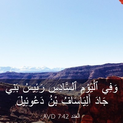 Picture 03 - اَلْعَدَد 7:42 AVD - وَفِي ٱلْيَوْمِ - Bible Verse Picture