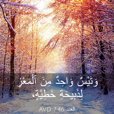 Picture 03 - اَلْعَدَد 7:46 AVD - وَتَيْسٌ وَاحِدٌ مِنَ - Bible Verse Picture