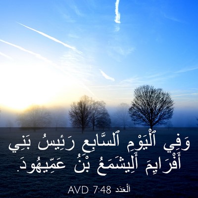 Picture 03 - اَلْعَدَد 7:48 AVD - وَفِي ٱلْيَوْمِ - Bible Verse Picture