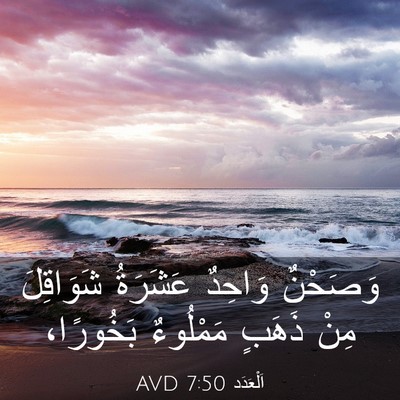 Picture 03 - اَلْعَدَد 7:50 AVD - وَصَحْنٌ وَاحِدٌ عَشَرَةُ - Bible Verse Picture