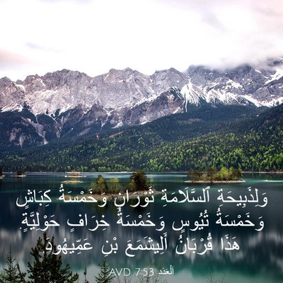 Picture 03 - اَلْعَدَد 7:53 AVD - وَلِذَبِيحَةِ - Bible Verse Picture