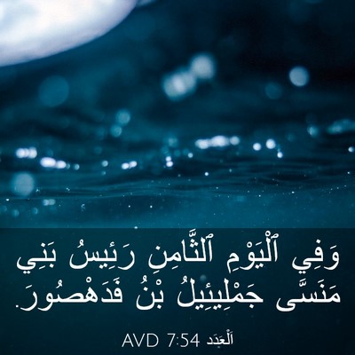 Picture 03 - اَلْعَدَد 7:54 AVD - وَفِي ٱلْيَوْمِ - Bible Verse Picture