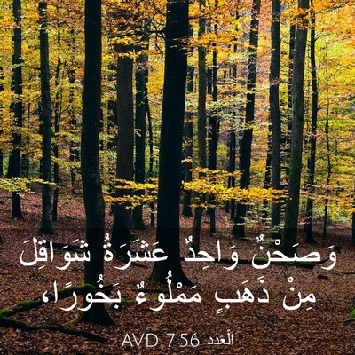 Picture 03 - اَلْعَدَد 7:56 AVD - وَصَحْنٌ وَاحِدٌ عَشَرَةُ - Bible Verse Picture