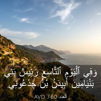 Picture 03 - اَلْعَدَد 7:60 AVD - وَفِي ٱلْيَوْمِ - Bible Verse Picture