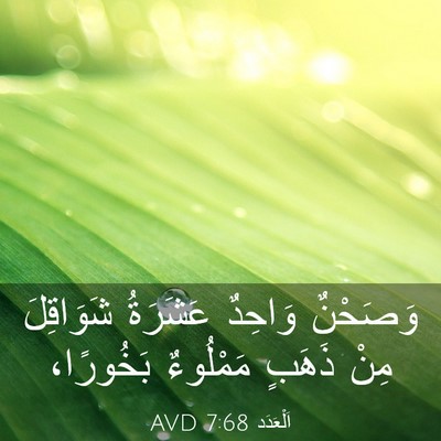 Picture 03 - اَلْعَدَد 7:68 AVD - وَصَحْنٌ وَاحِدٌ عَشَرَةُ - Bible Verse Picture