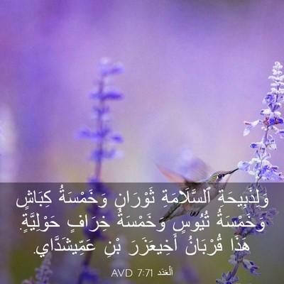 Picture 03 - اَلْعَدَد 7:71 AVD - وَلِذَبِيحَةِ - Bible Verse Picture