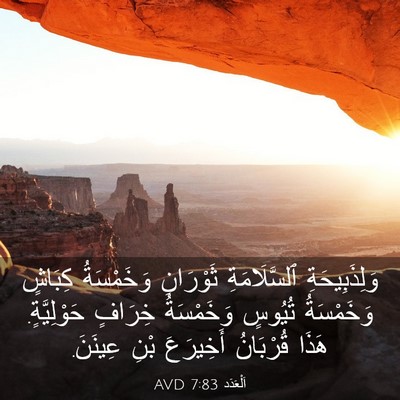 Picture 03 - اَلْعَدَد 7:83 AVD - وَلِذَبِيحَةِ - Bible Verse Picture