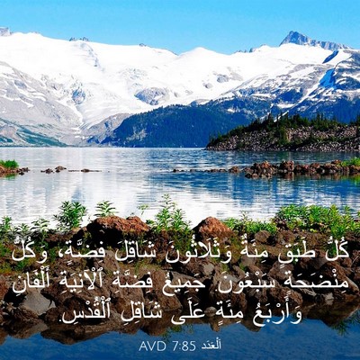 Picture 03 - اَلْعَدَد 7:85 AVD - كُلُّ طَبَقٍ مِئَةٌ - Bible Verse Picture