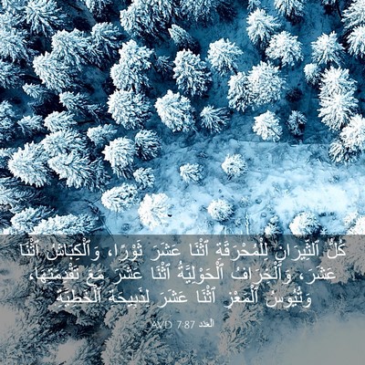 Picture 03 - اَلْعَدَد 7:87 AVD - كُلُّ ٱلثِّيرَانِ - Bible Verse Picture