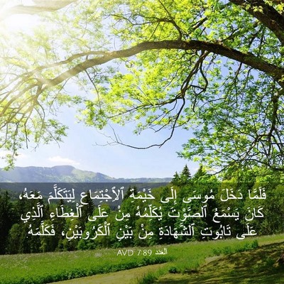 Picture 03 - اَلْعَدَد 7:89 AVD - فَلَمَّا دَخَلَ مُوسَى - Bible Verse Picture