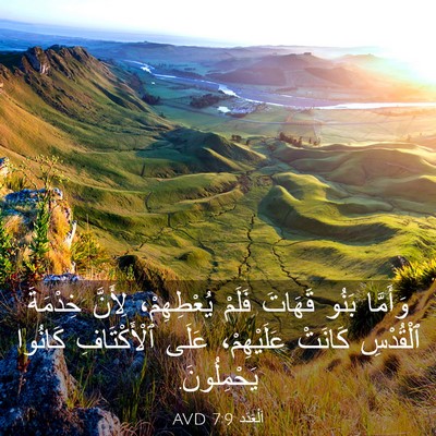 Picture 03 - اَلْعَدَد 7:9 AVD - وَأَمَّا بَنُو قَهَاتَ - Bible Verse Picture
