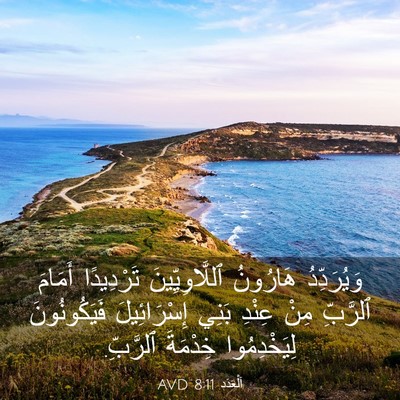 Picture 03 - اَلْعَدَد 8:11 AVD - وَيُرَدِّدُ هَارُونُ - Bible Verse Picture