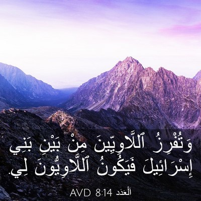 Picture 03 - اَلْعَدَد 8:14 AVD - وَتُفْرِزُ ٱللَّاوِيِّينَ - Bible Verse Picture