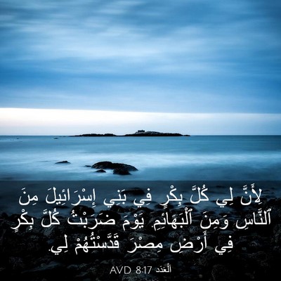 Picture 03 - اَلْعَدَد 8:17 AVD - لِأَنَّ لِي كُلَّ بِكْرٍ - Bible Verse Picture