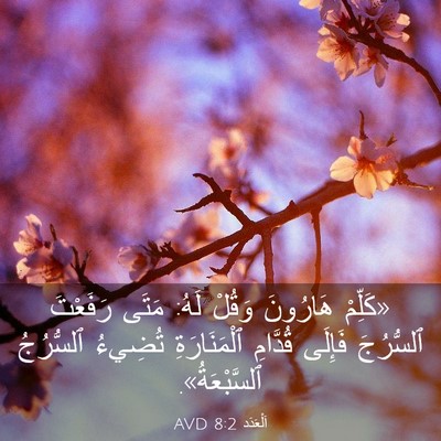 Picture 03 - اَلْعَدَد 8:2 AVD - «كَلِّمْ هَارُونَ وَقُلْ - Bible Verse Picture