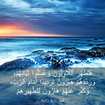 Picture 03 - اَلْعَدَد 8:21 AVD - فَتَطَهَّرَ - Bible Verse Picture