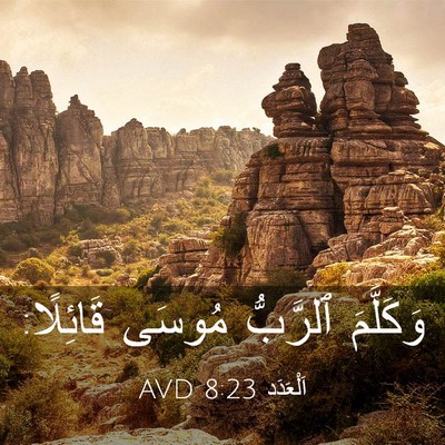 Picture 03 - اَلْعَدَد 8:23 AVD - وَكَلَّمَ ٱلرَّبُّ مُوسَى - Bible Verse Picture
